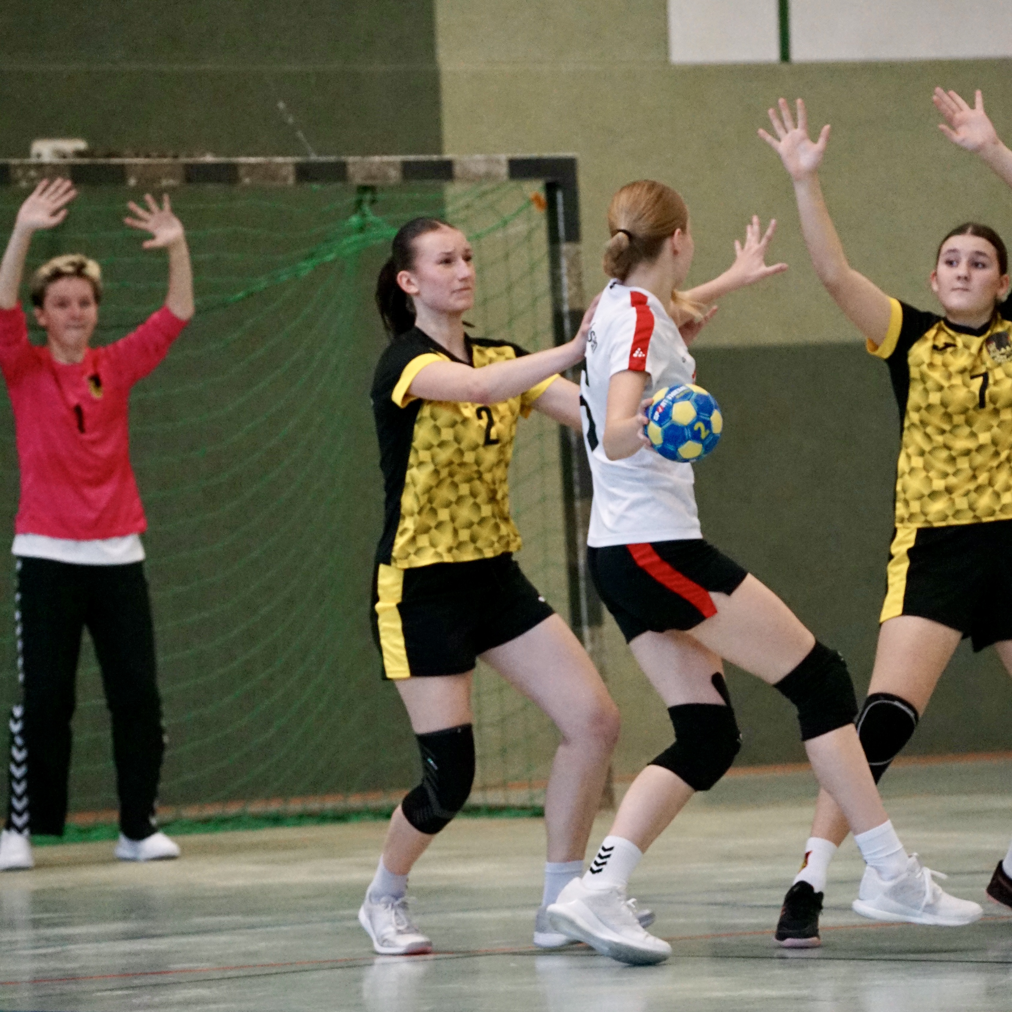 449B36A9-578E-485F-930B-51B174EBEF0B_1_201_a