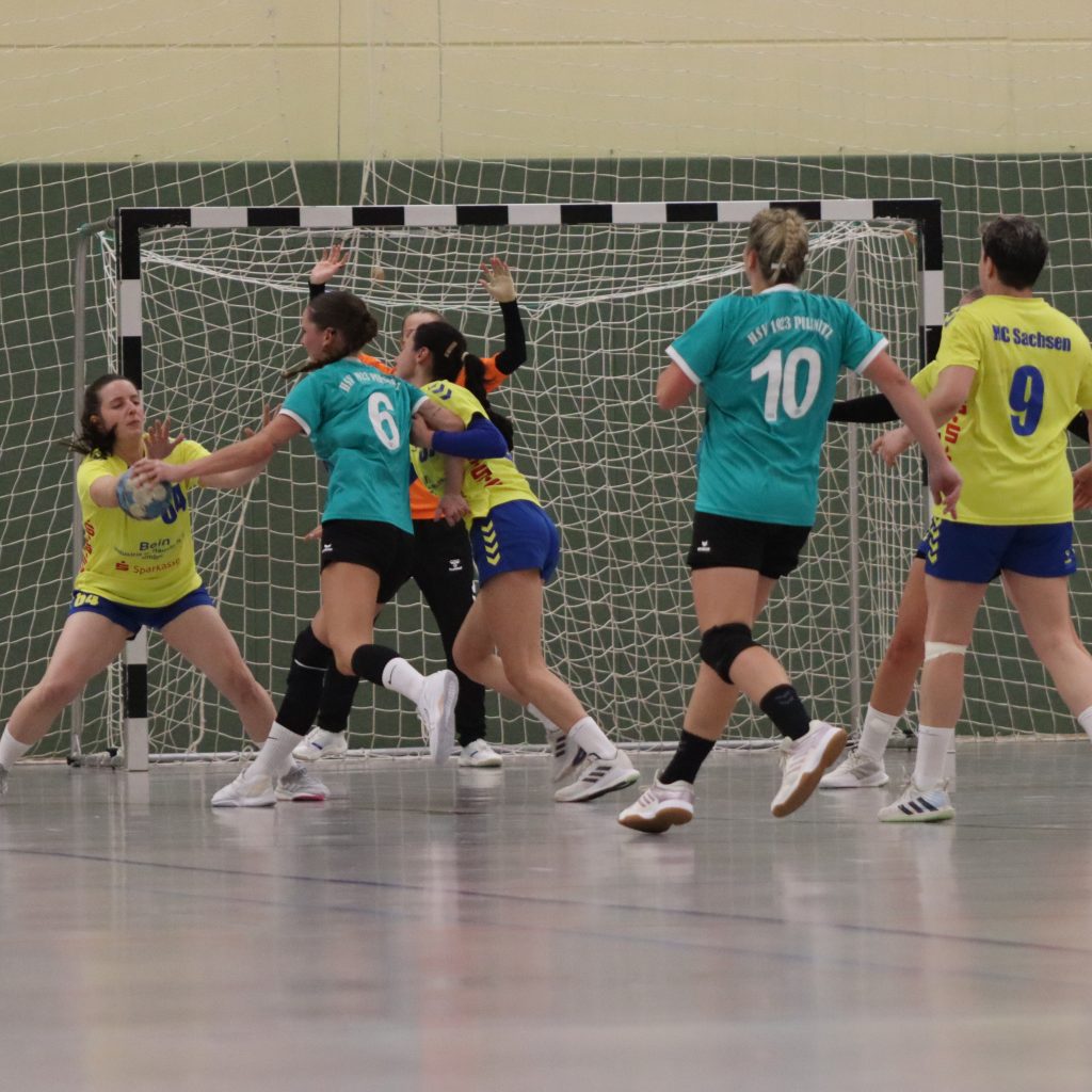 HCS gg. Pulsnistz-03