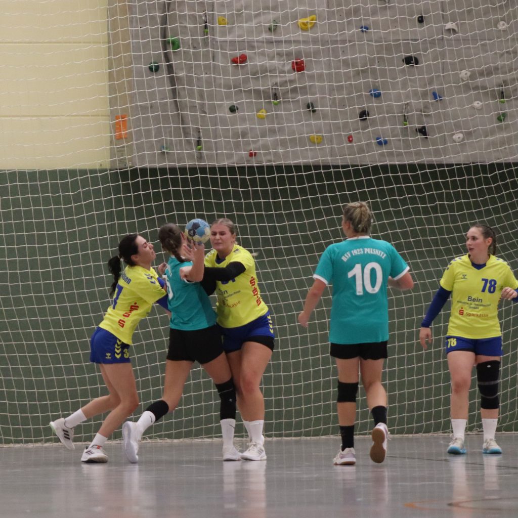 HCS gg. Pulsnistz-04