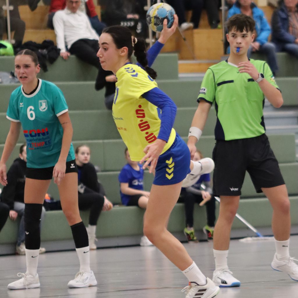 HCS gg. Pulsnistz-06