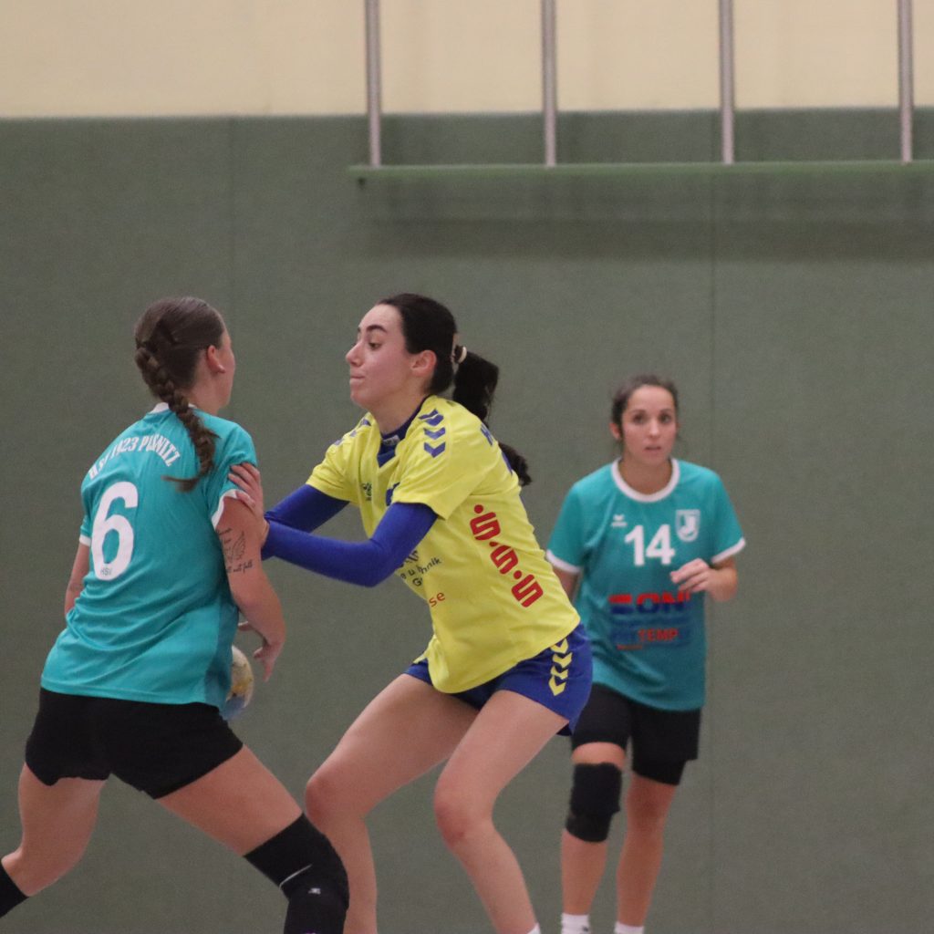 HCS gg. Pulsnistz-09