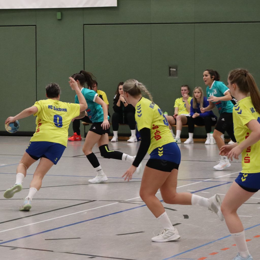 HCS gg. Pulsnistz-15