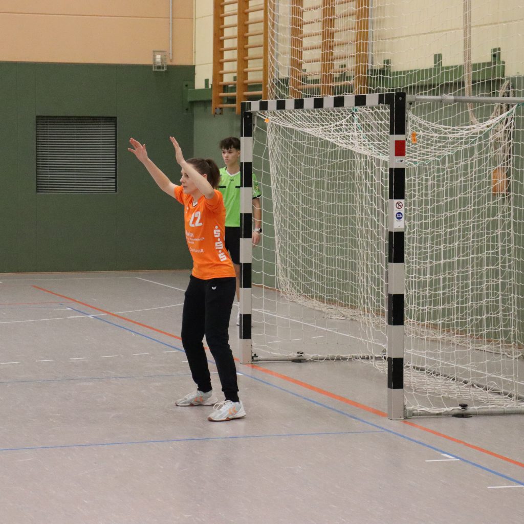 HCS gg. Pulsnistz-16