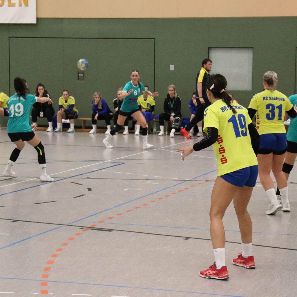 HCS gg. Pulsnistz-17