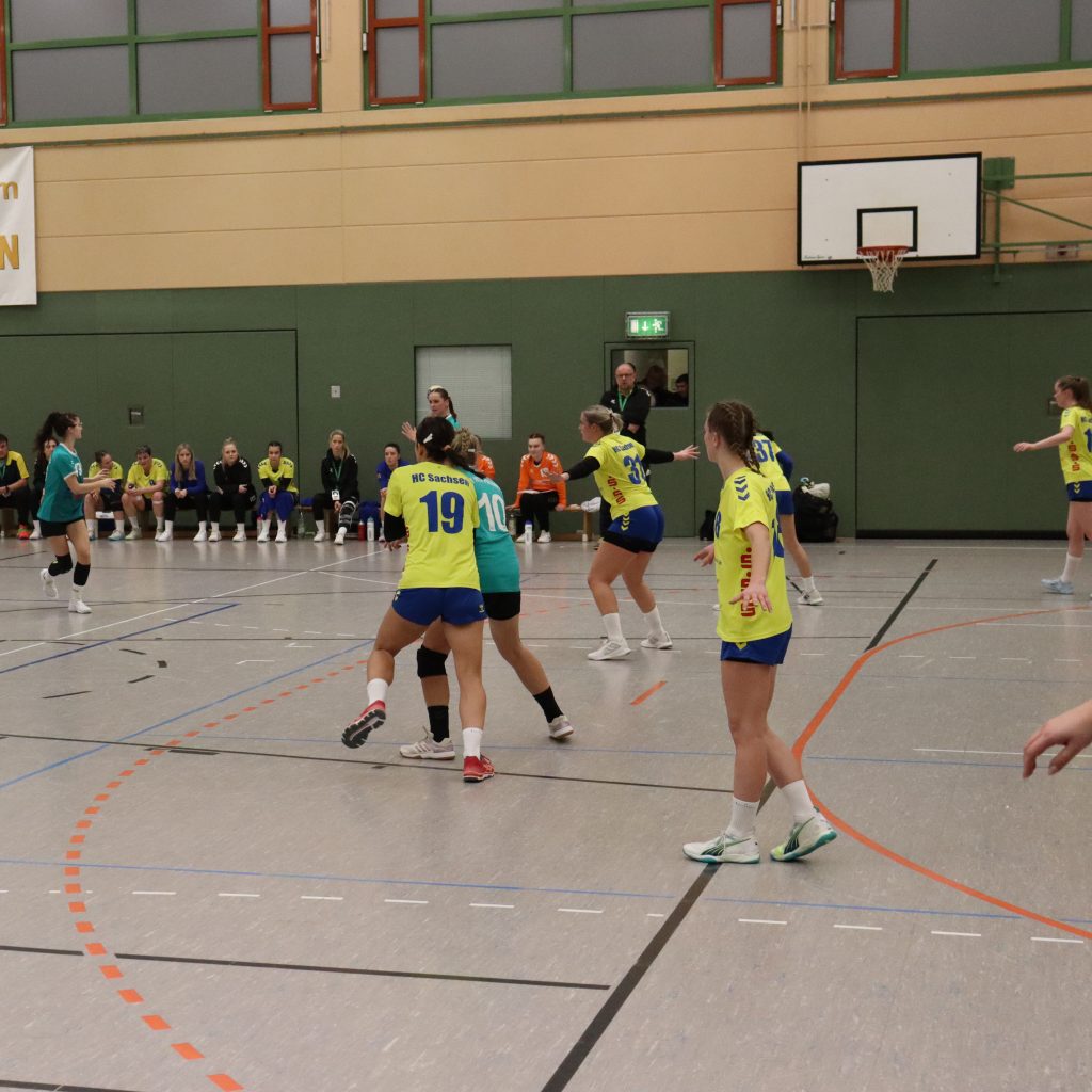 HCS gg. Pulsnistz-18