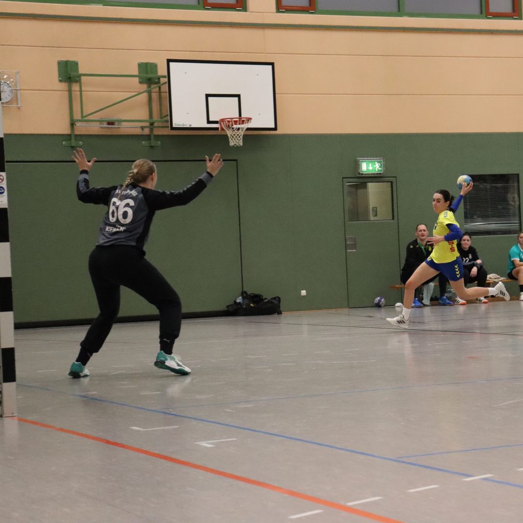 HCS gg. Pulsnistz-19