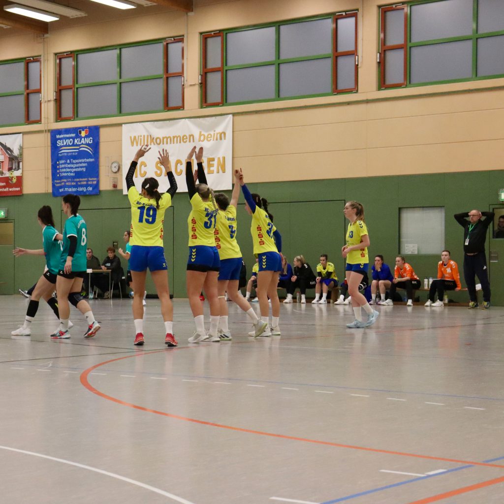 HCS gg. Pulsnistz-21