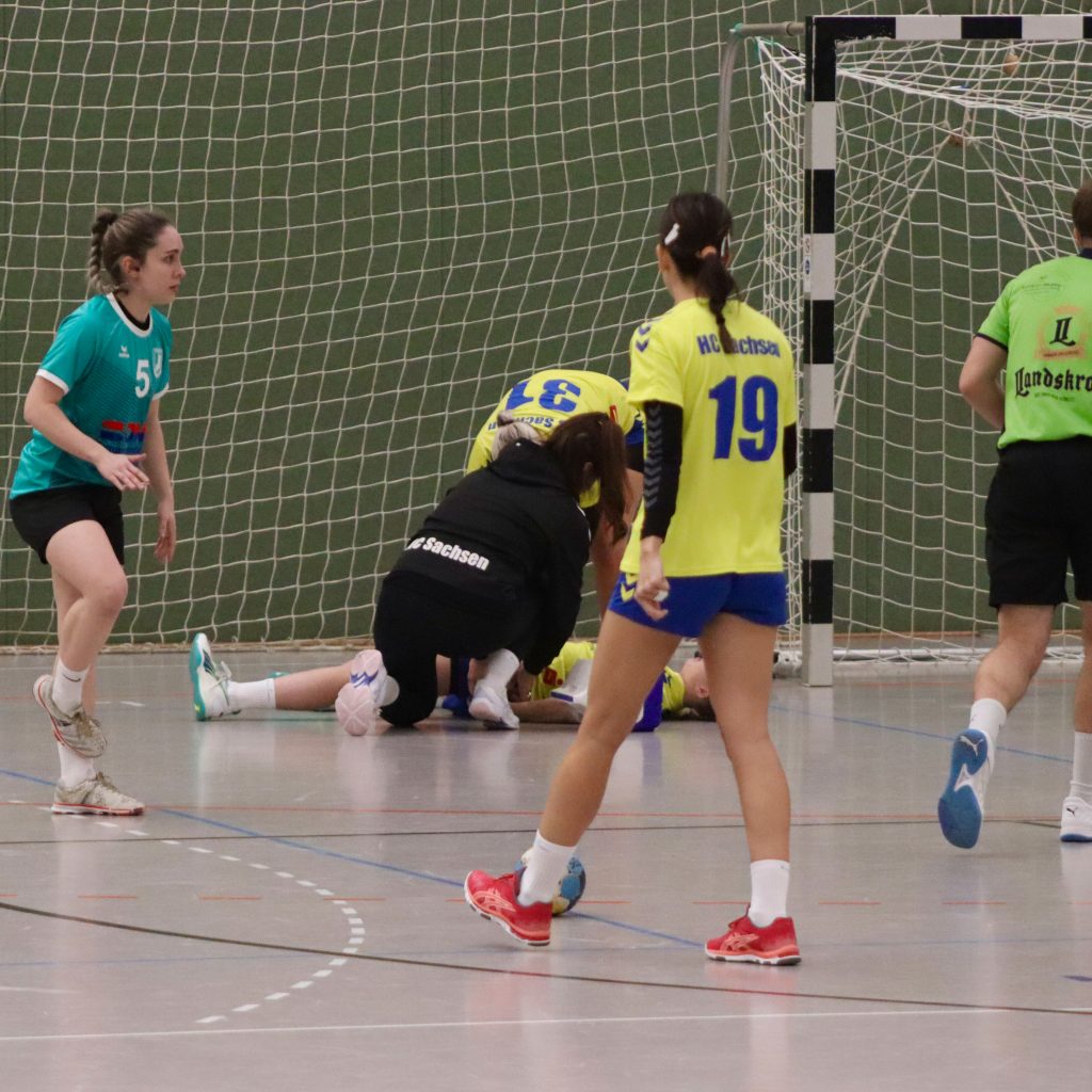 HCS gg. Pulsnistz-22