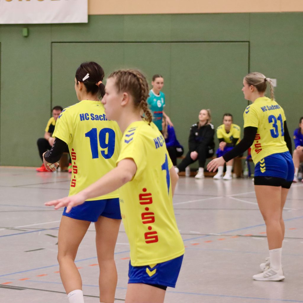 HCS gg. Pulsnistz-24