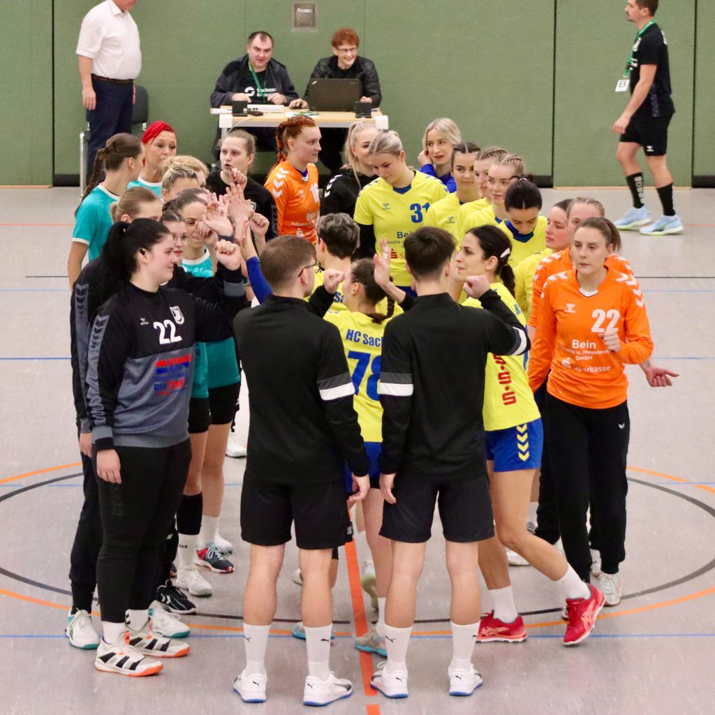 HCS gg. Pulsnistz-25