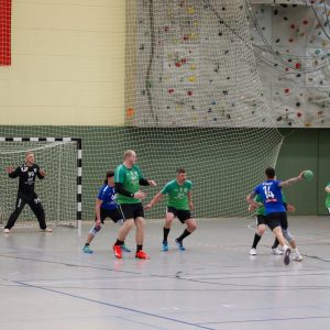 HCS Männer gg TSV Bärenstein-21