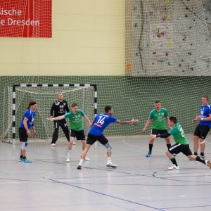 HCS Männer gg TSV Bärenstein-24