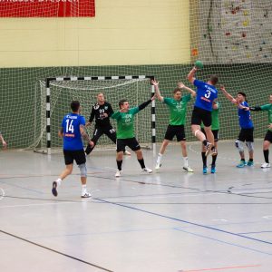 HCS Männer gg TSV Bärenstein-26