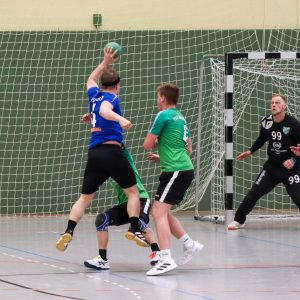 HCS Männer gg TSV Bärenstein-33
