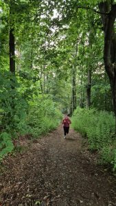 12a2d333-ff9f-45b5-8dbc-10b0443927ce