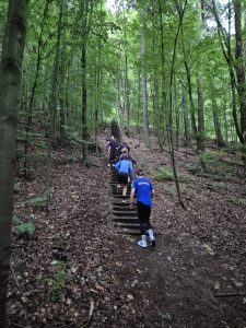 12b6c627-cd2e-4777-9916-dc2acbac7af0