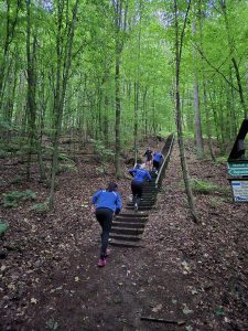 fe8db30e-0191-45a8-8921-93e7e59505e8