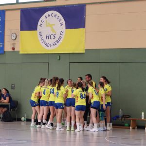 Frauen gg. Radeberger SV-33