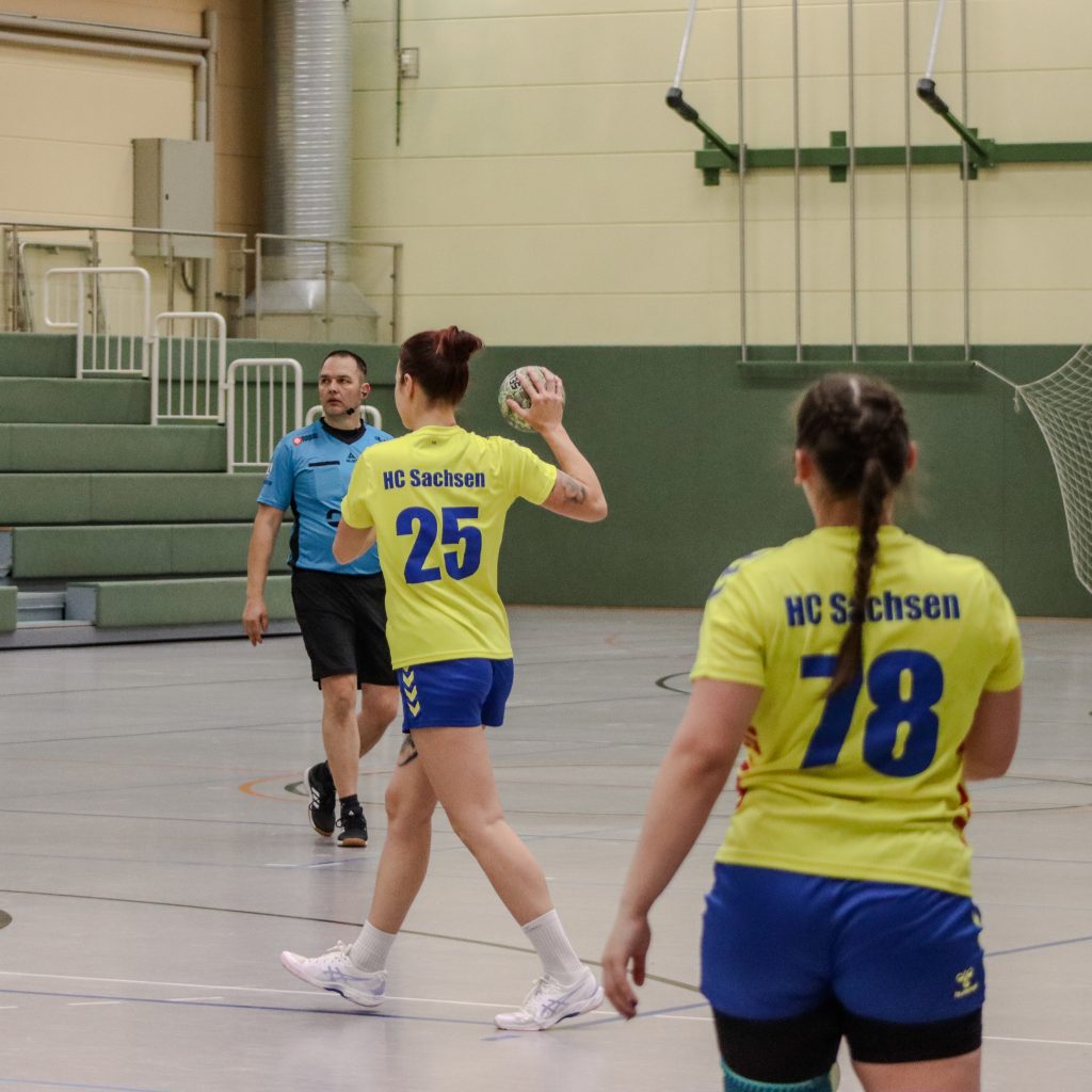 Neustadt gg Pulsnitz-02