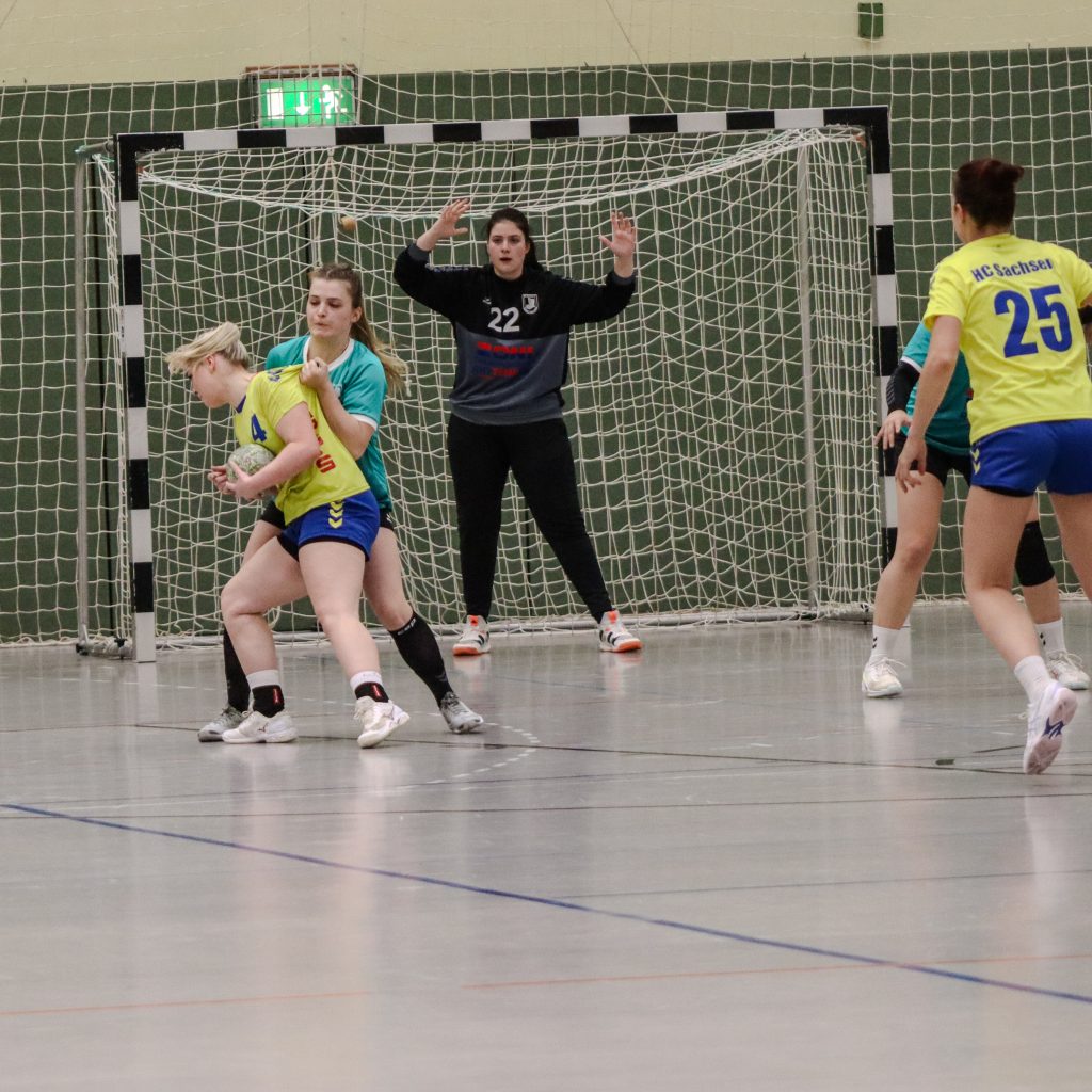 Neustadt gg Pulsnitz-08