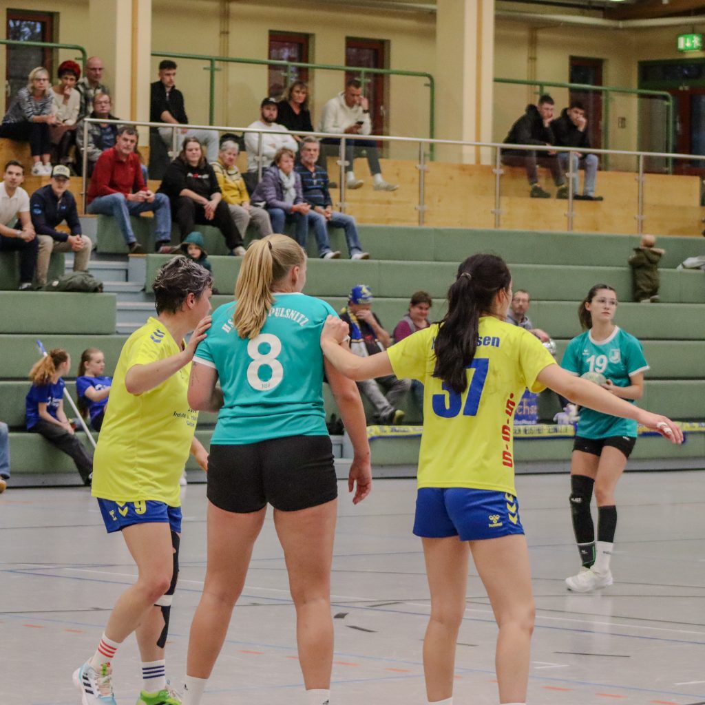 Neustadt gg Pulsnitz-09