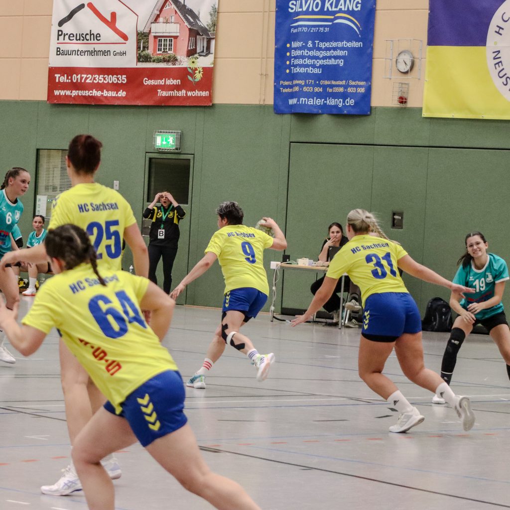 Neustadt gg Pulsnitz-11