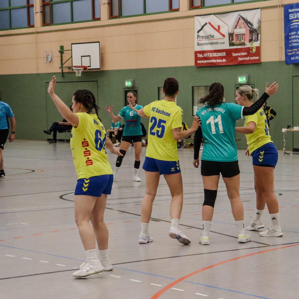 Neustadt gg Pulsnitz-13