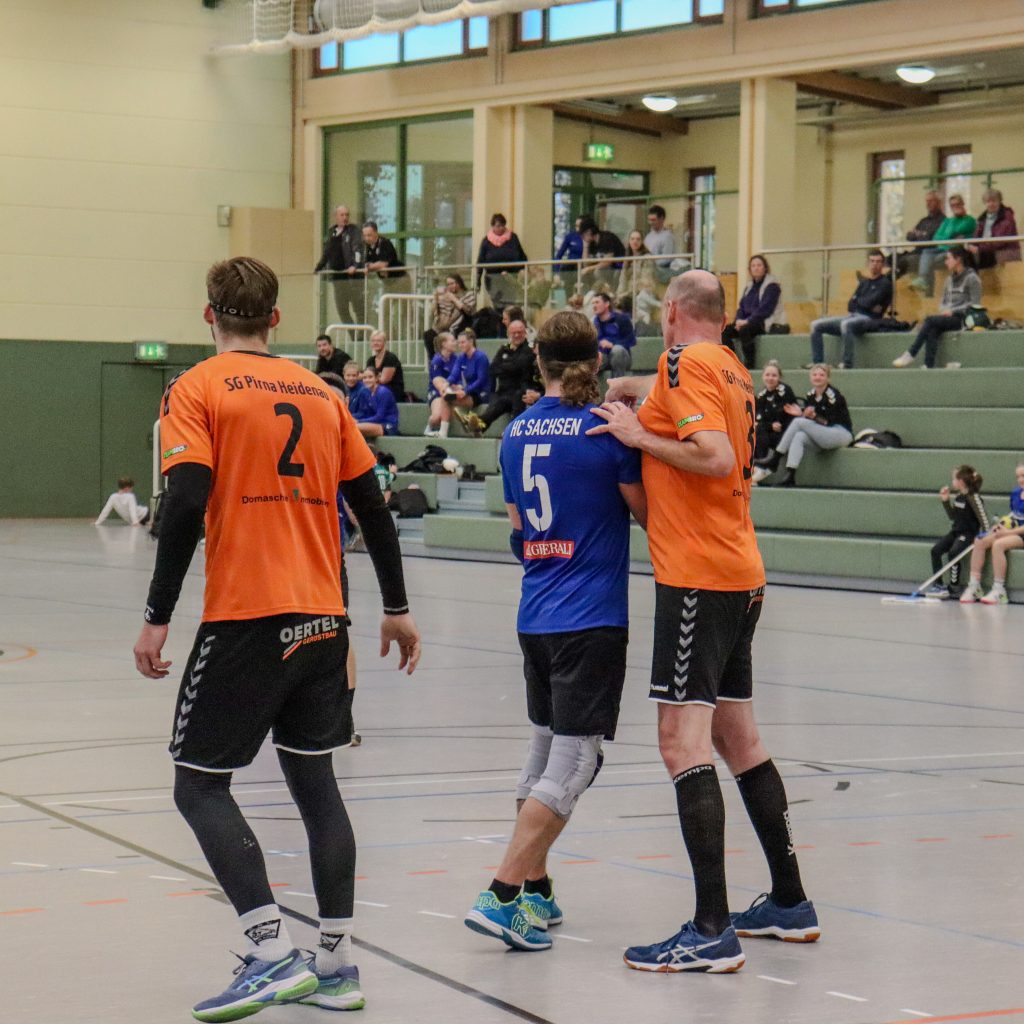 Männer gg SG Pirna_Heidenau II-06